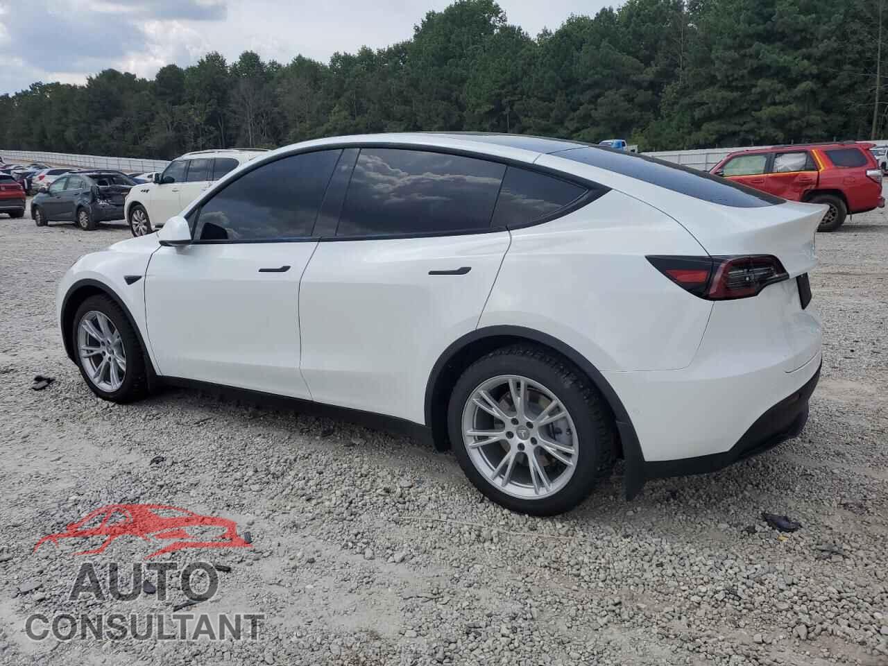 TESLA MODEL Y 2020 - 5YJYGDEE2LF032254