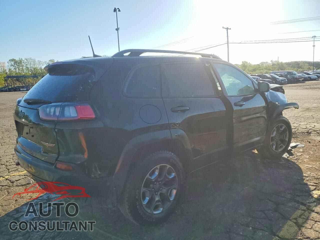 JEEP CHEROKEE 2019 - 1C4PJMBX2KD189100