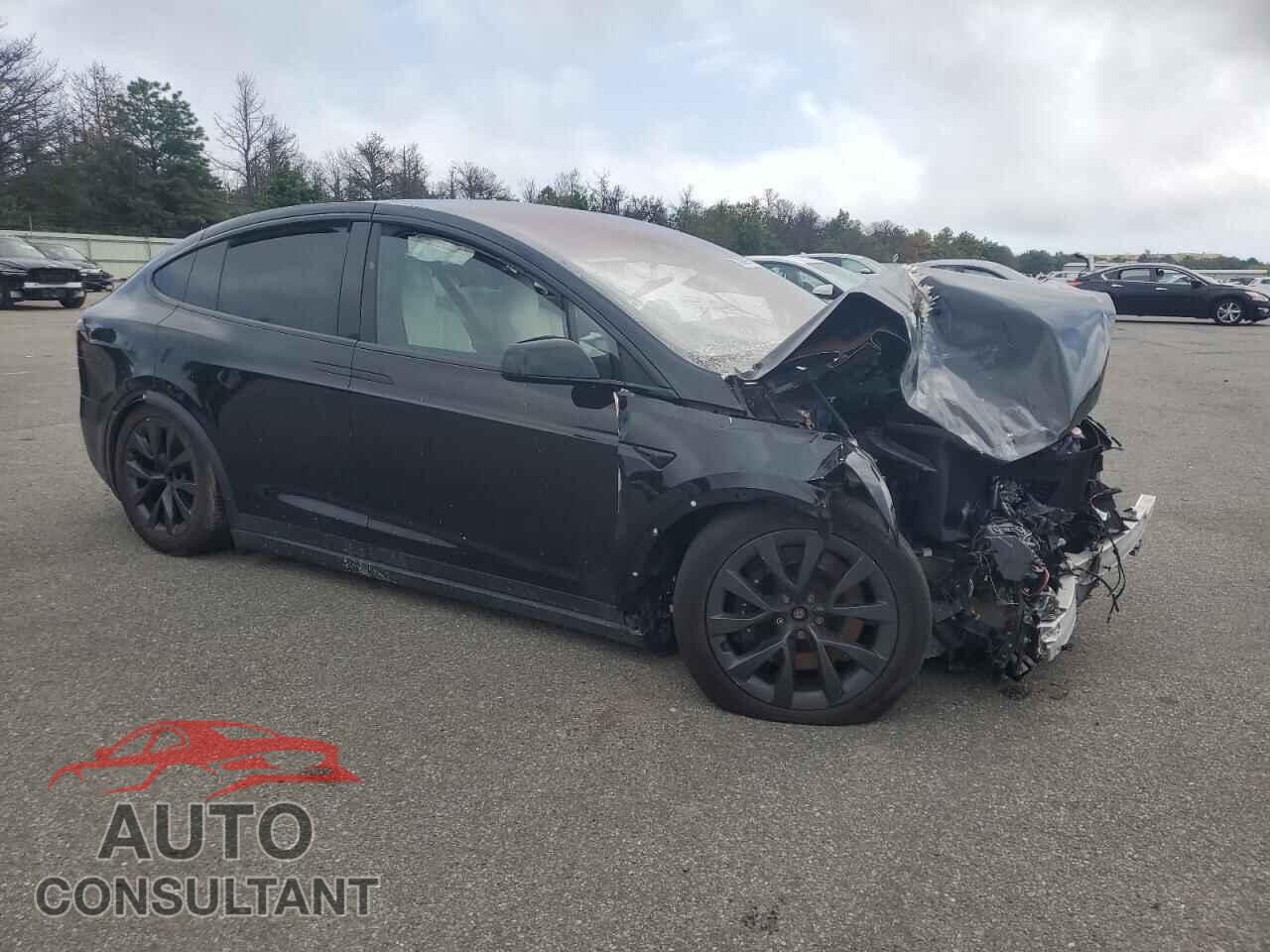 TESLA MODEL X 2023 - 7SAXCBE55PF367237
