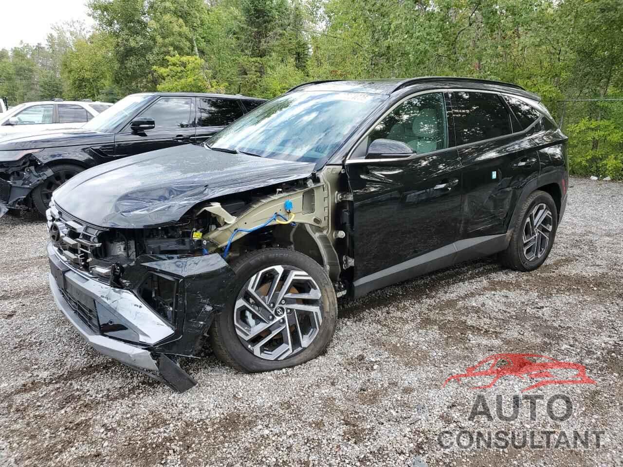 HYUNDAI TUCSON 2025 - KM8JCDD18SU368259