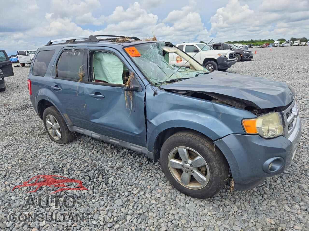 FORD ESCAPE 2011 - 1FMCU0EG7BKC60292