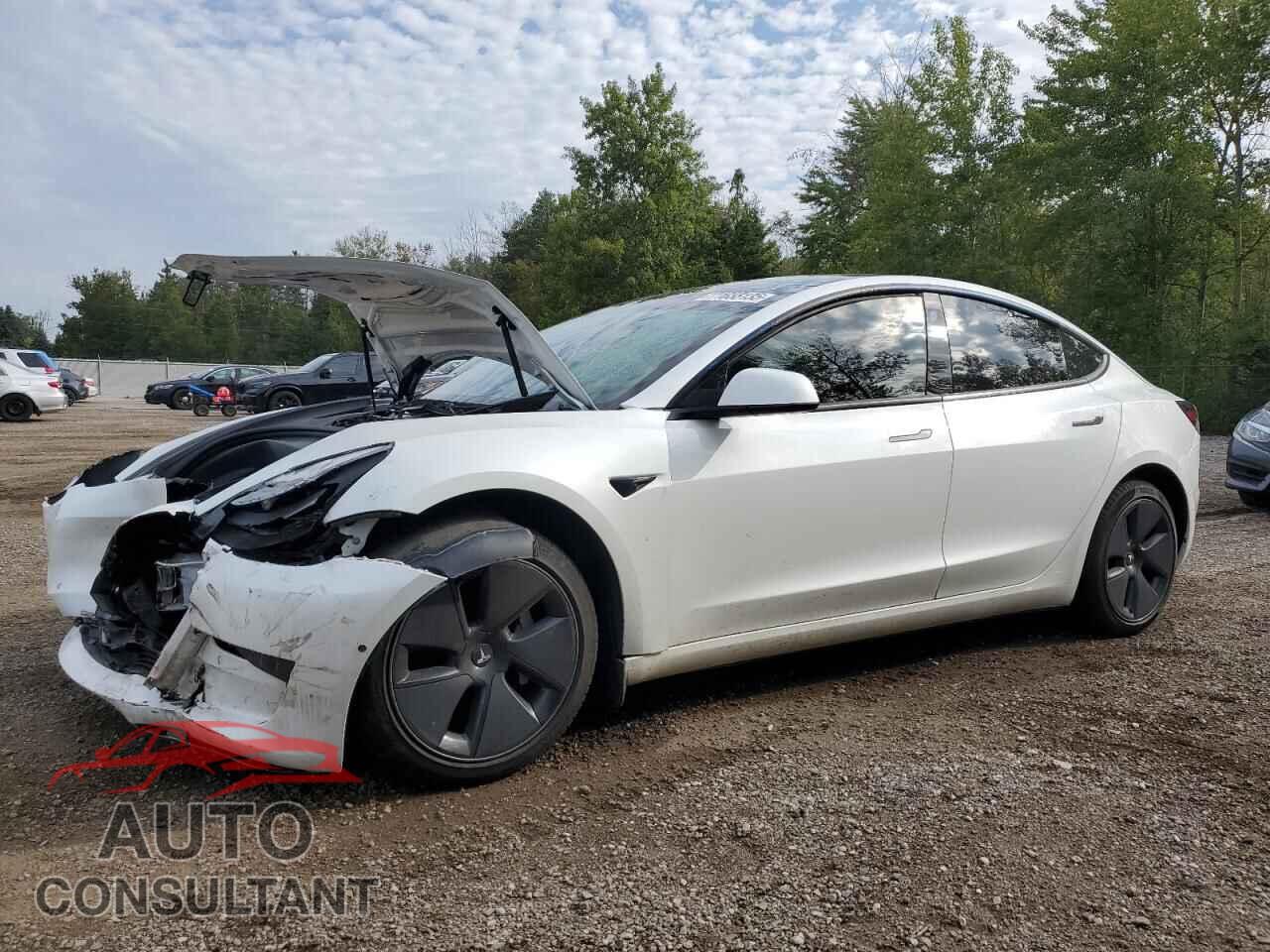 TESLA MODEL 3 2021 - 5YJ3E1EA2MF962605