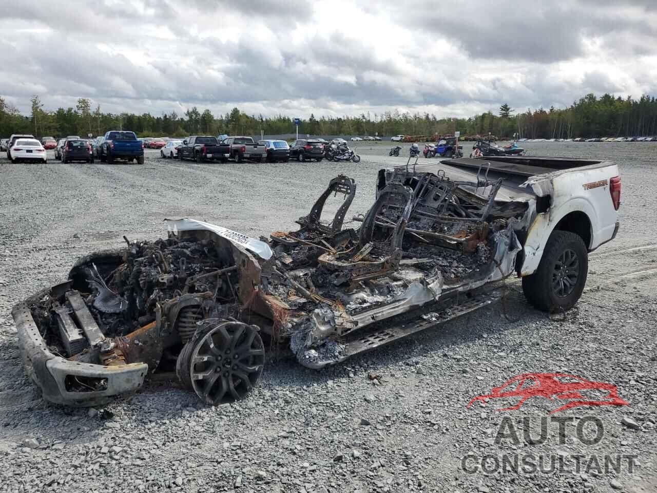 FORD F150 TREMO 2024 - 1FTFW4L81RFA78007