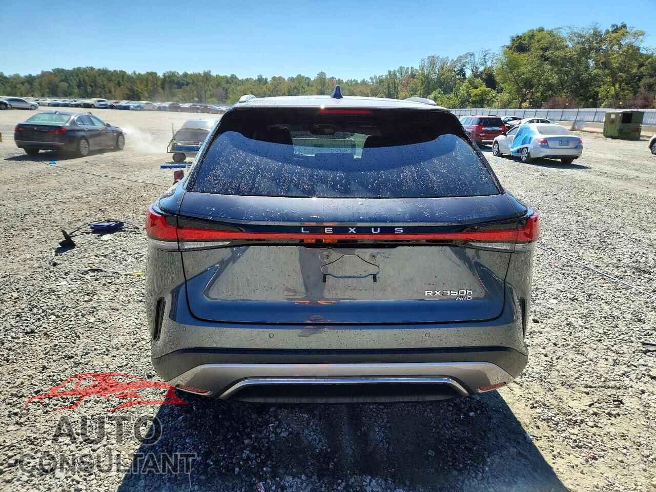 LEXUS RX350H 2025 - 2T2BBMCA2SC088083