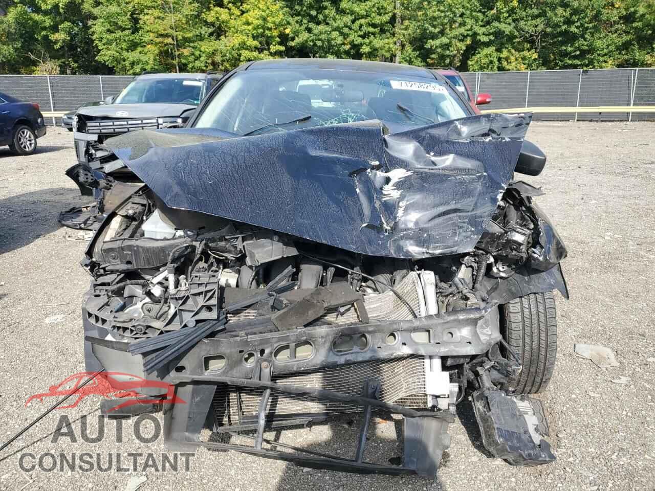 FORD FOCUS 2016 - 1FADP3E20GL402883