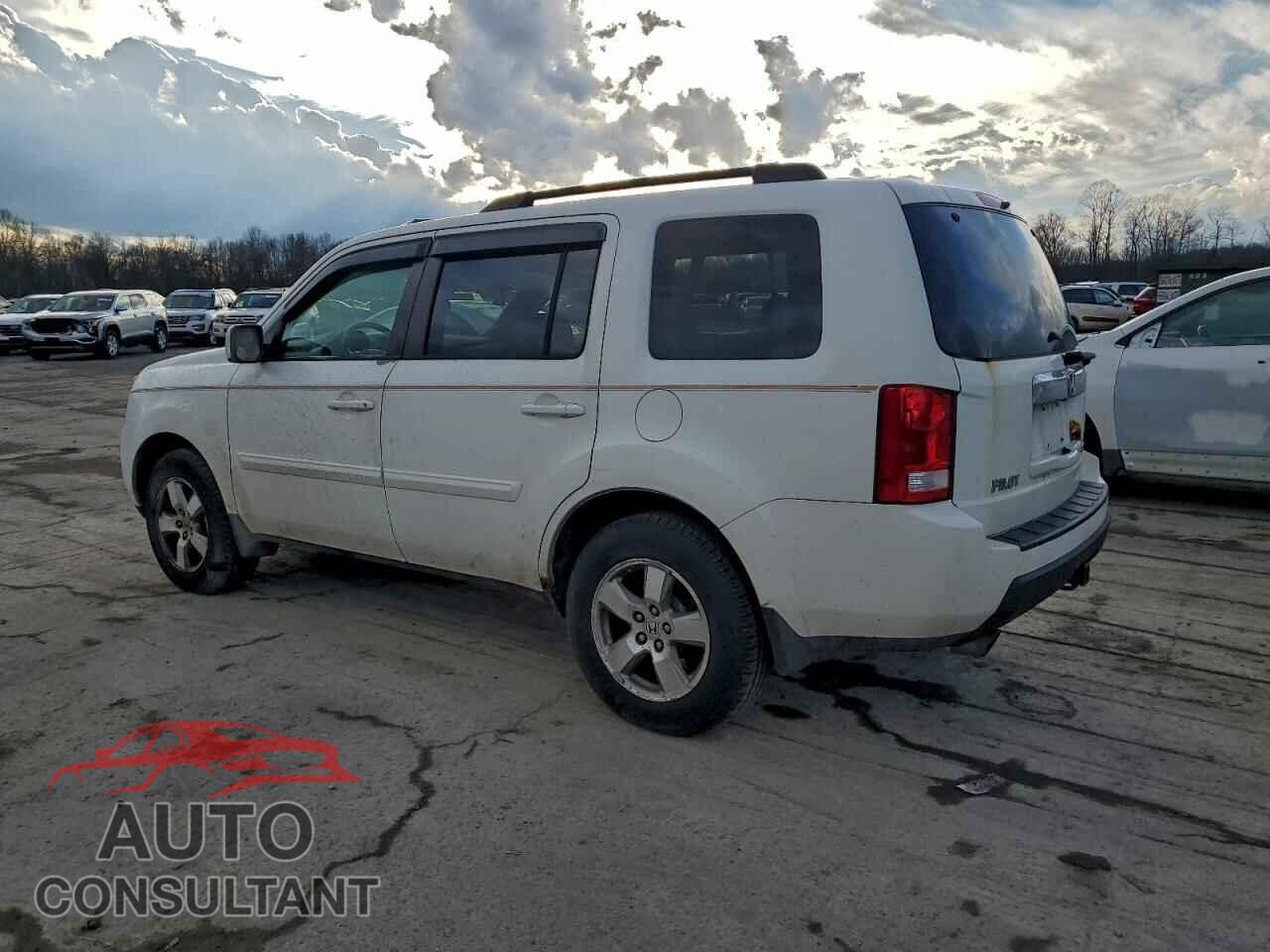 HONDA PILOT 2009 - 5FNYF48619B028504