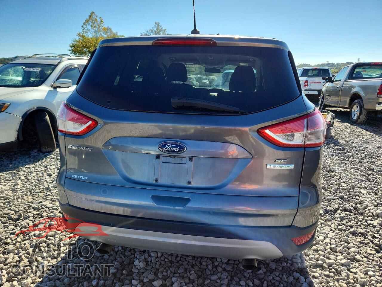 FORD ESCAPE 2014 - 1FMCU0GX8EUD30520