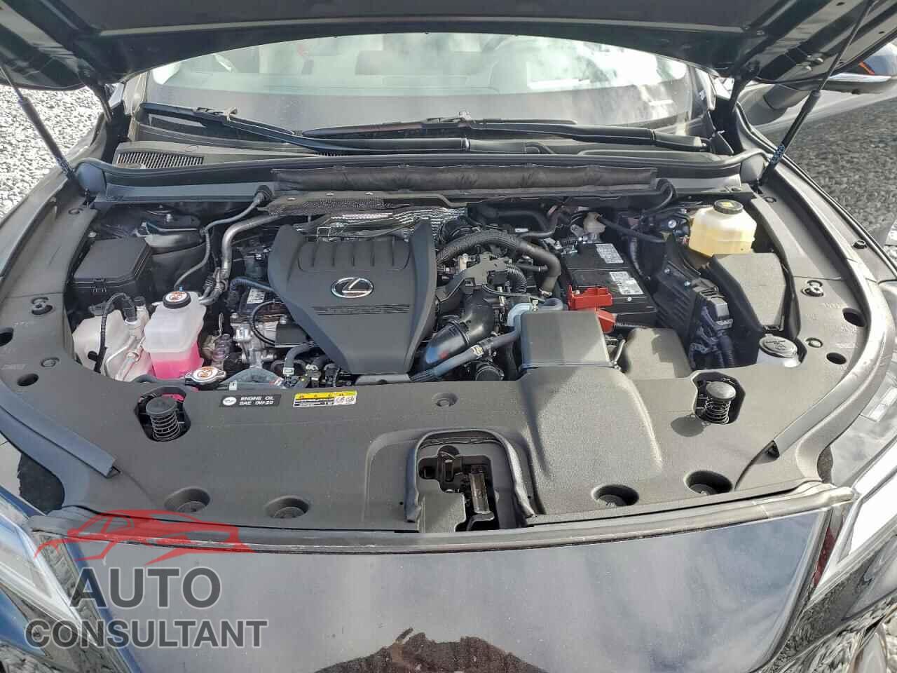 LEXUS RX350 2025 - 2T2BAMBA5SC065658