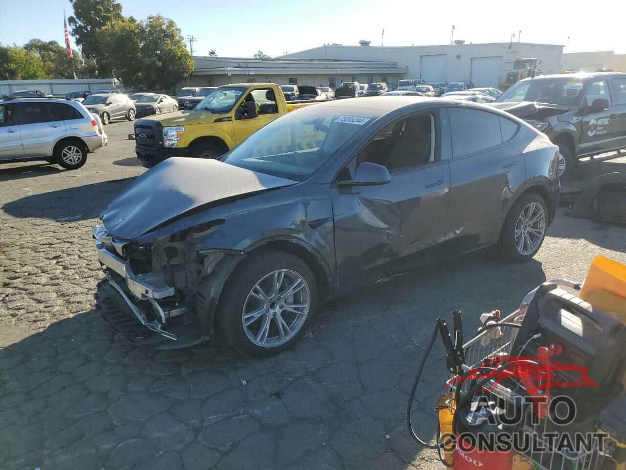 TESLA MODEL Y 2023 - 7SAYGDEDXPF933727