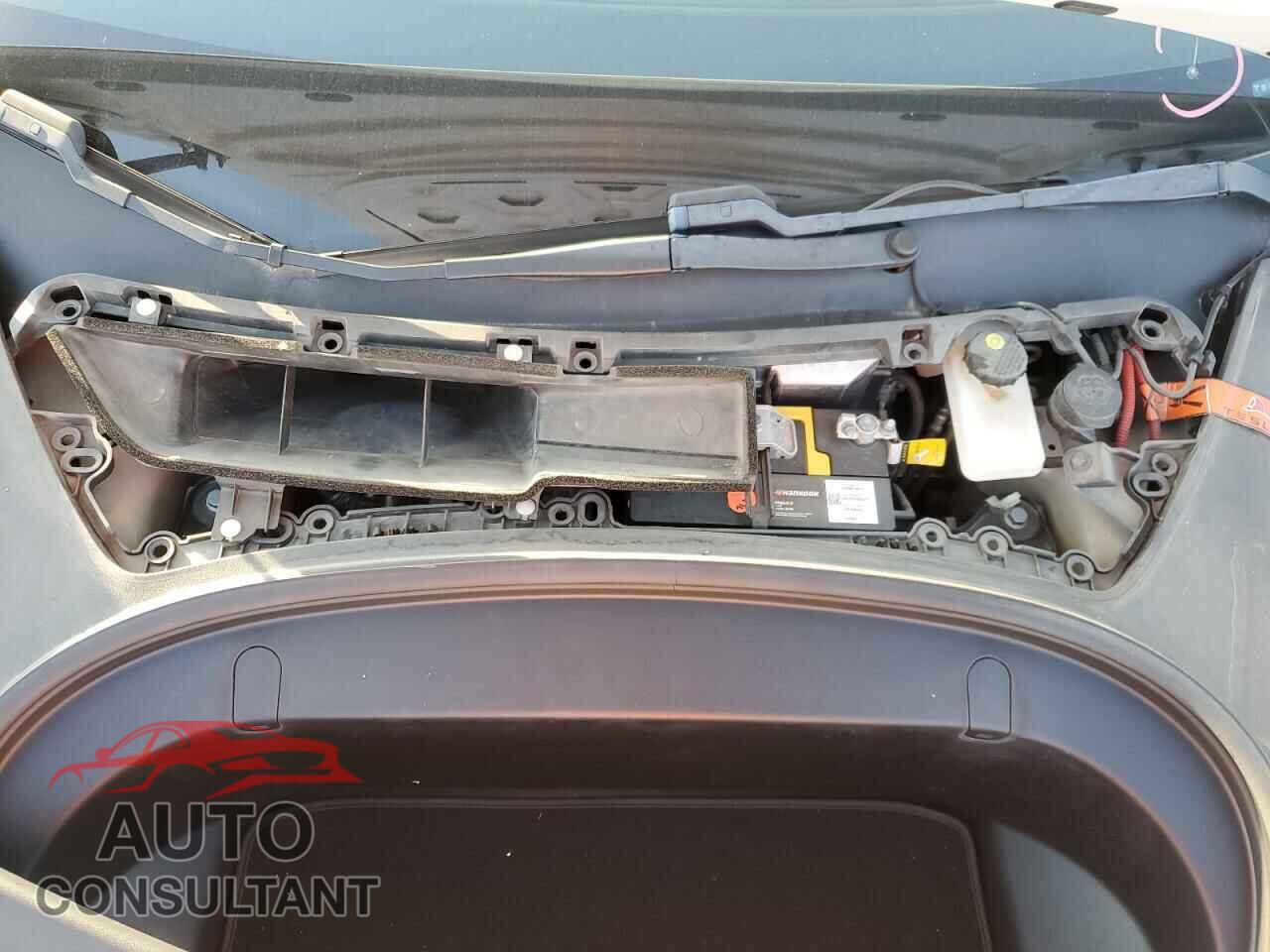 TESLA MODEL 3 2019 - 5YJ3E1EB9KF388235