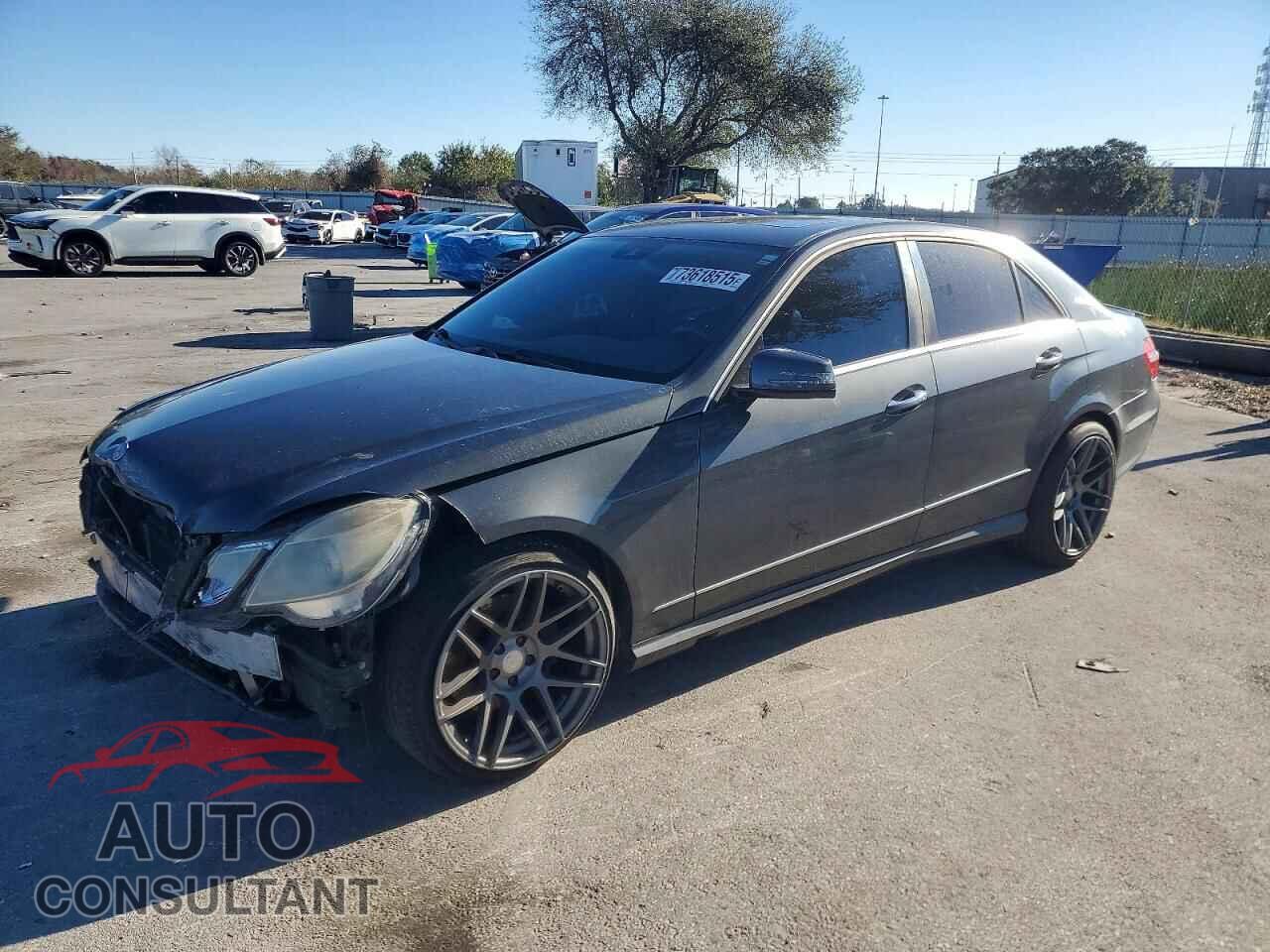 MERCEDES-BENZ E-CLASS 2010 - WDDHF5GB7AA071302