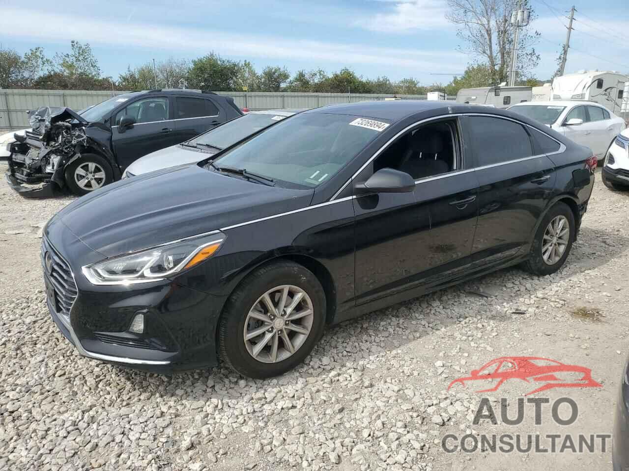 HYUNDAI SONATA 2019 - 5NPE24AF1KH775617