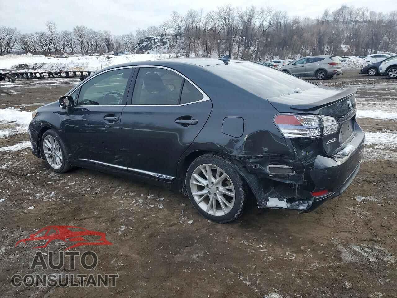 LEXUS HS 2010 - JTHBB1BA1A2020440