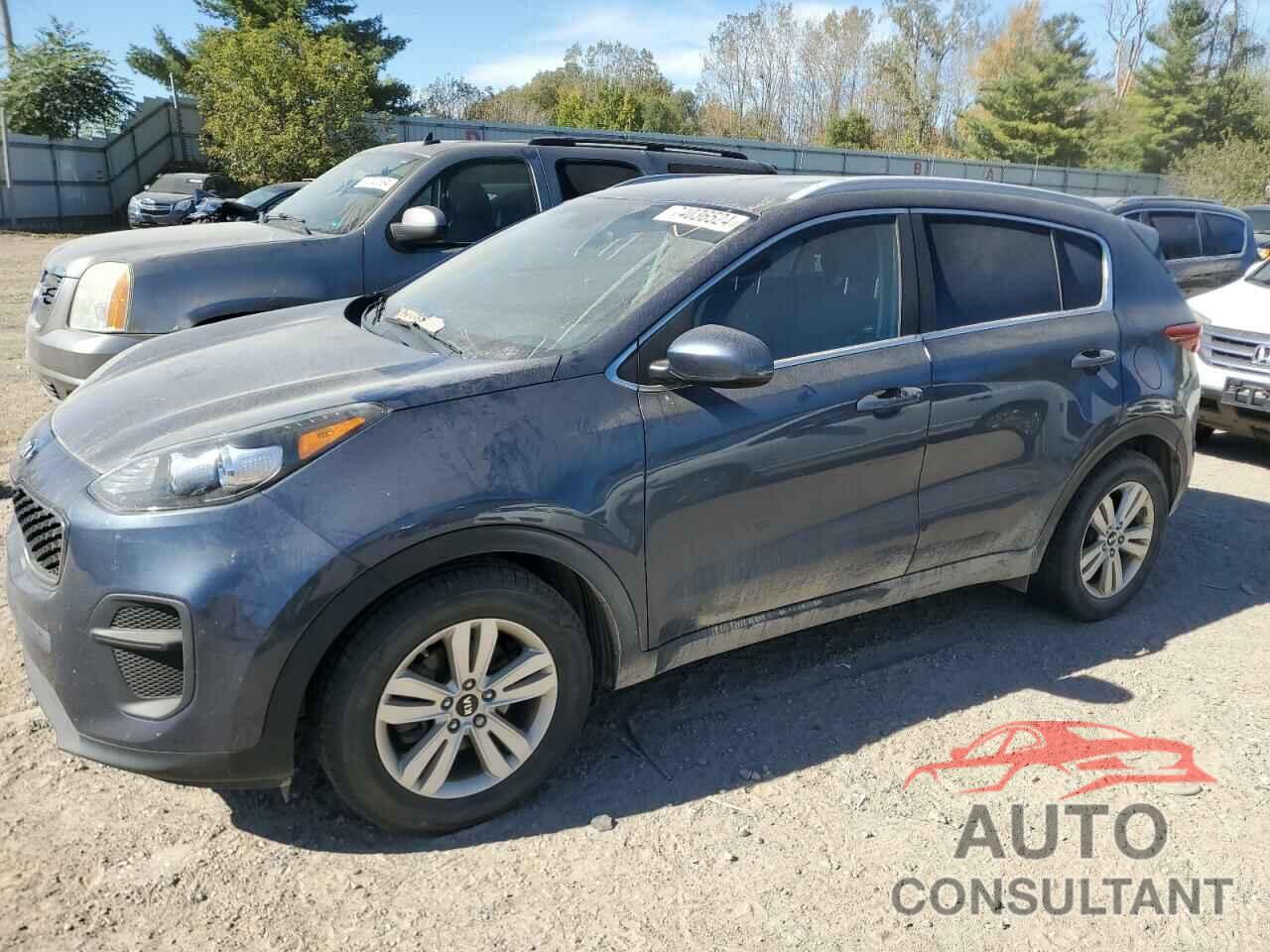 KIA SPORTAGE 2017 - KNDPM3AC7H7053522