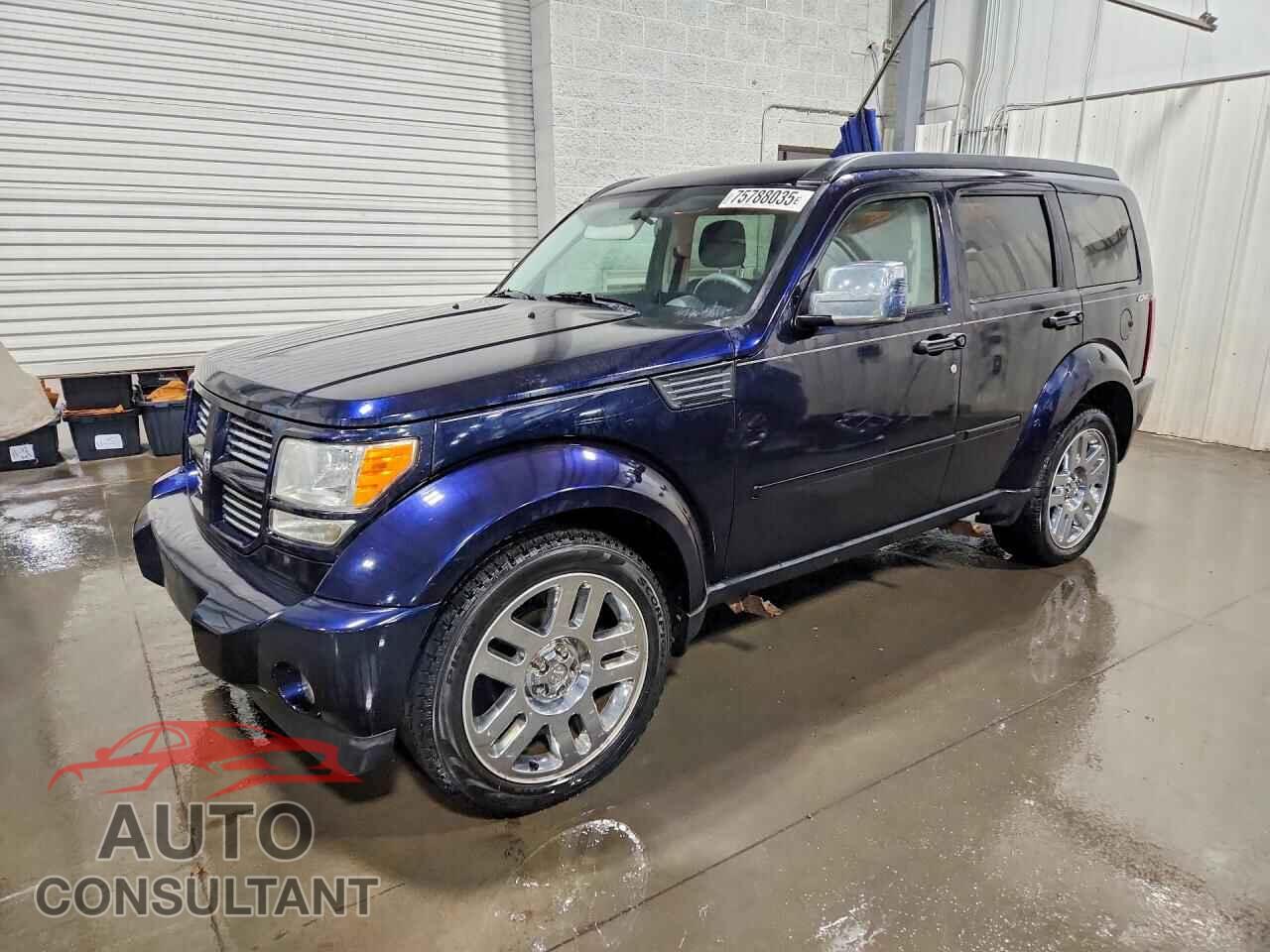 DODGE NITRO 2011 - 1D4PU4GK5BW576722