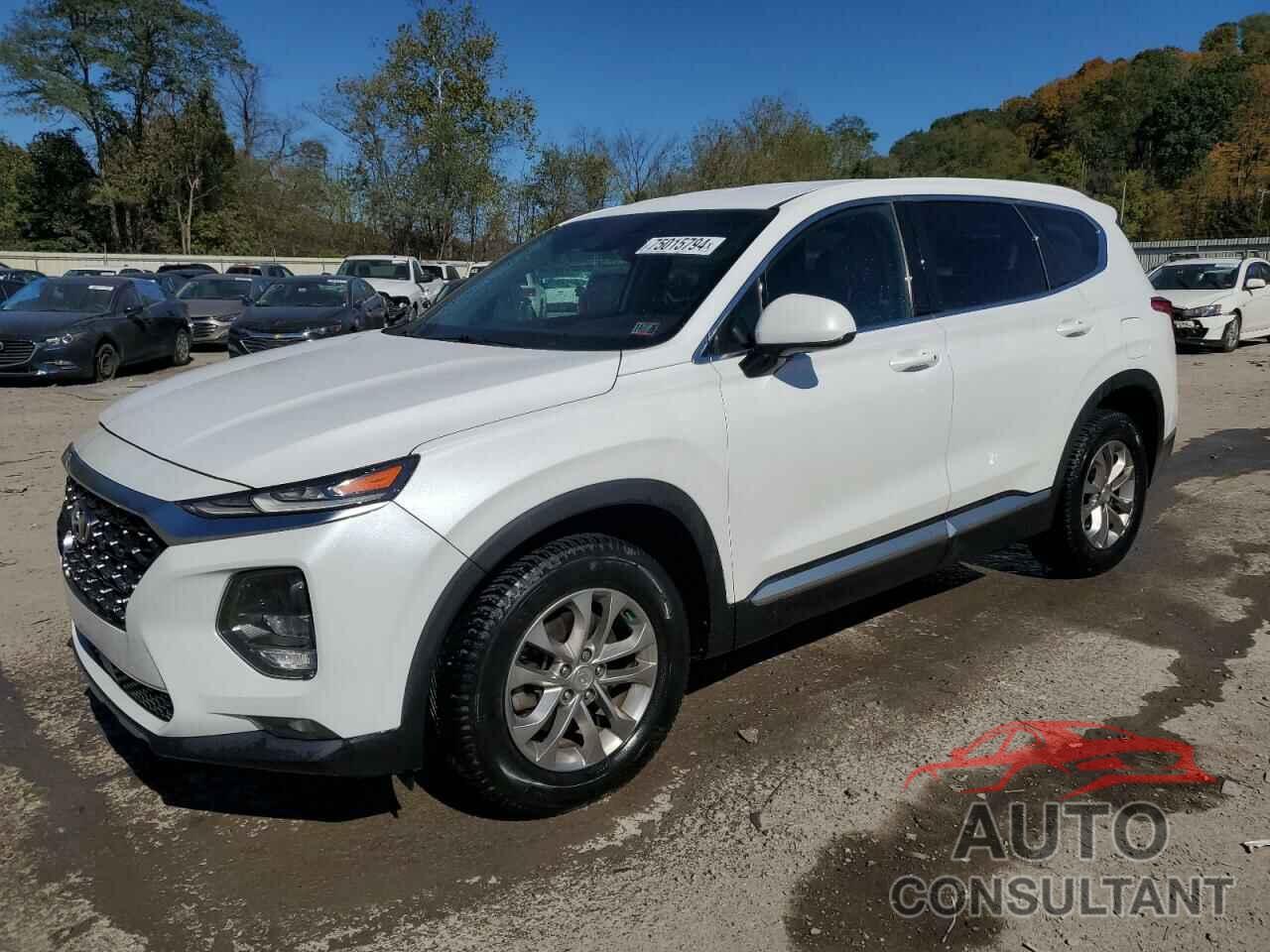 HYUNDAI SANTA FE 2019 - 5NMS3CAD5KH095306