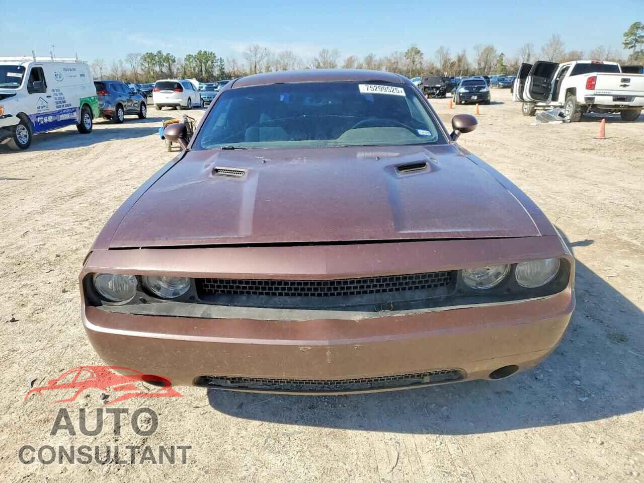 DODGE CHALLENGER 2013 - 2C3CDYAG0DH723851
