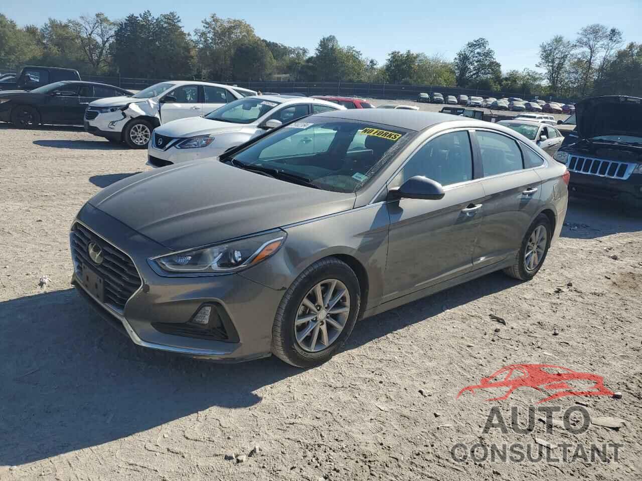 HYUNDAI SONATA 2019 - 5NPE24AFXKH776216