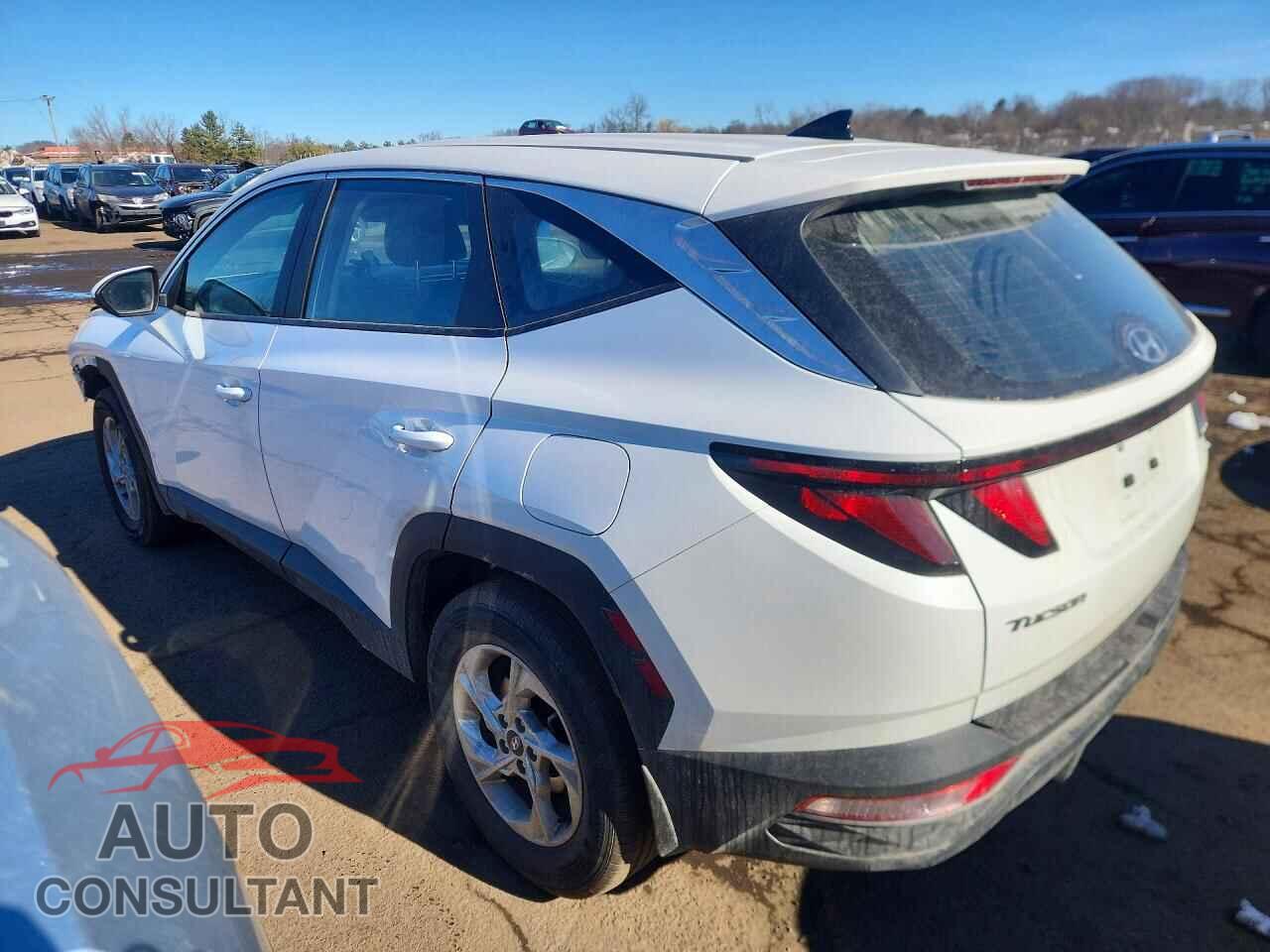 HYUNDAI TUCSON 2023 - 5NMJACAE2PH241663