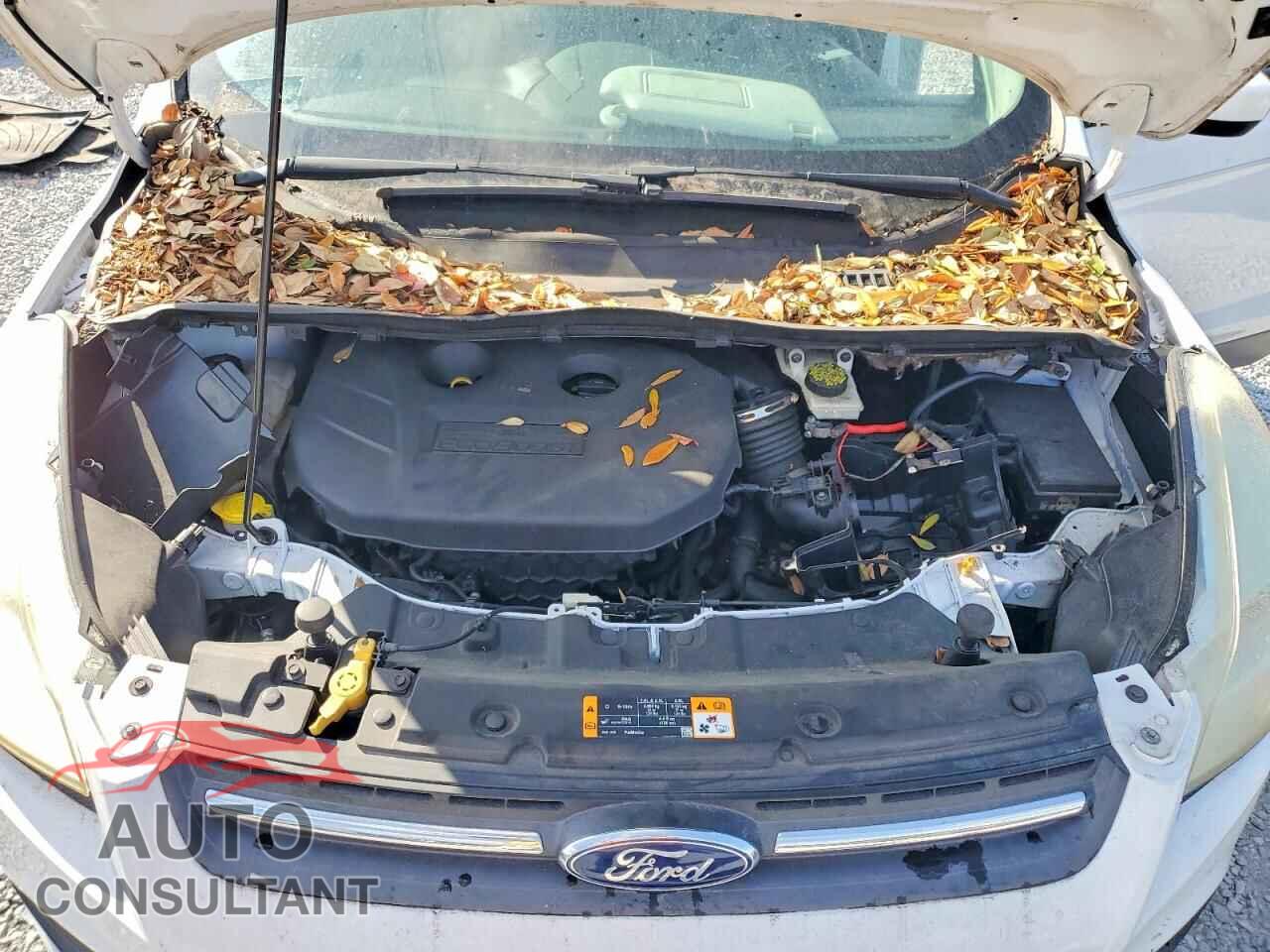 FORD ESCAPE 2013 - 1FMCU9G96DUD18855