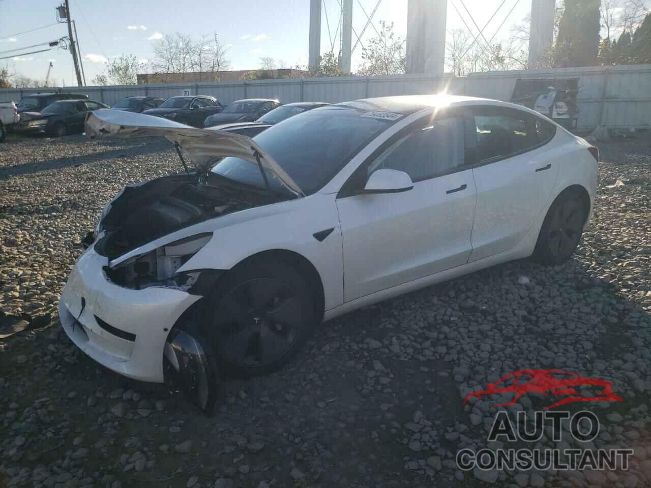 TESLA MODEL 3 2021 - 5YJ3E1EA8MF923145