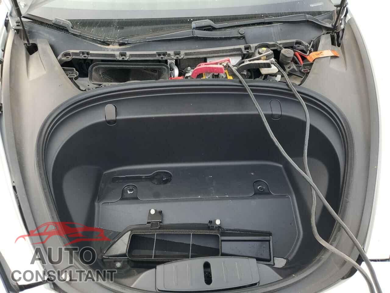 TESLA MODEL 3 2019 - 5YJ3E1EA1KF484531