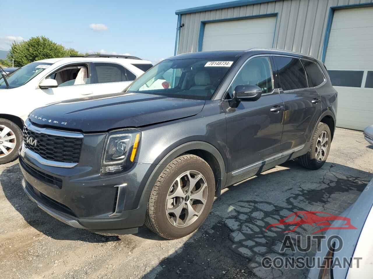 KIA TELLURIDE 2022 - 5XYP34HCXNG253176