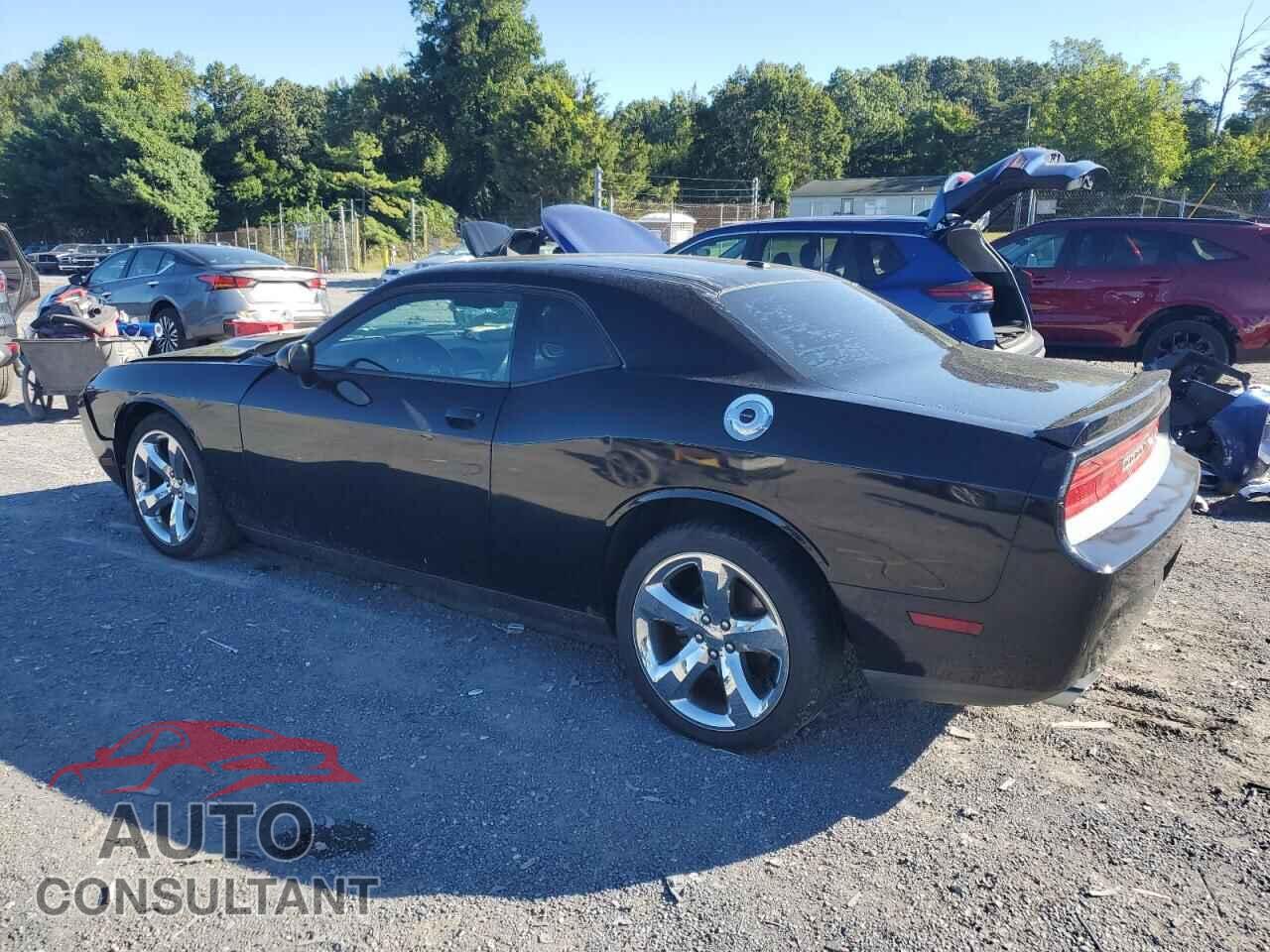 DODGE CHALLENGER 2014 - 2C3CDYAG4EH284266