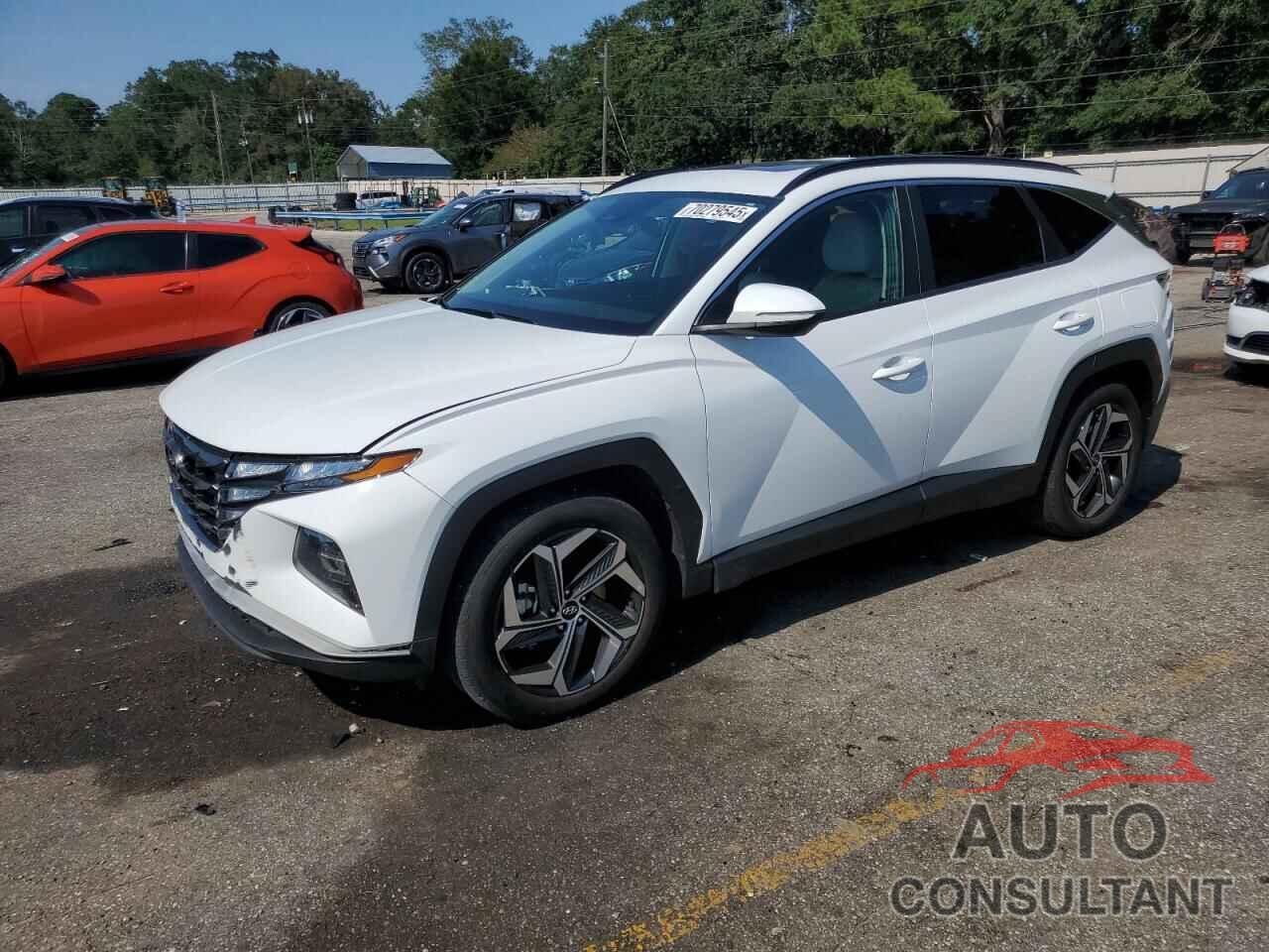 HYUNDAI TUCSON 2024 - 5NMJF3DE4RH333793