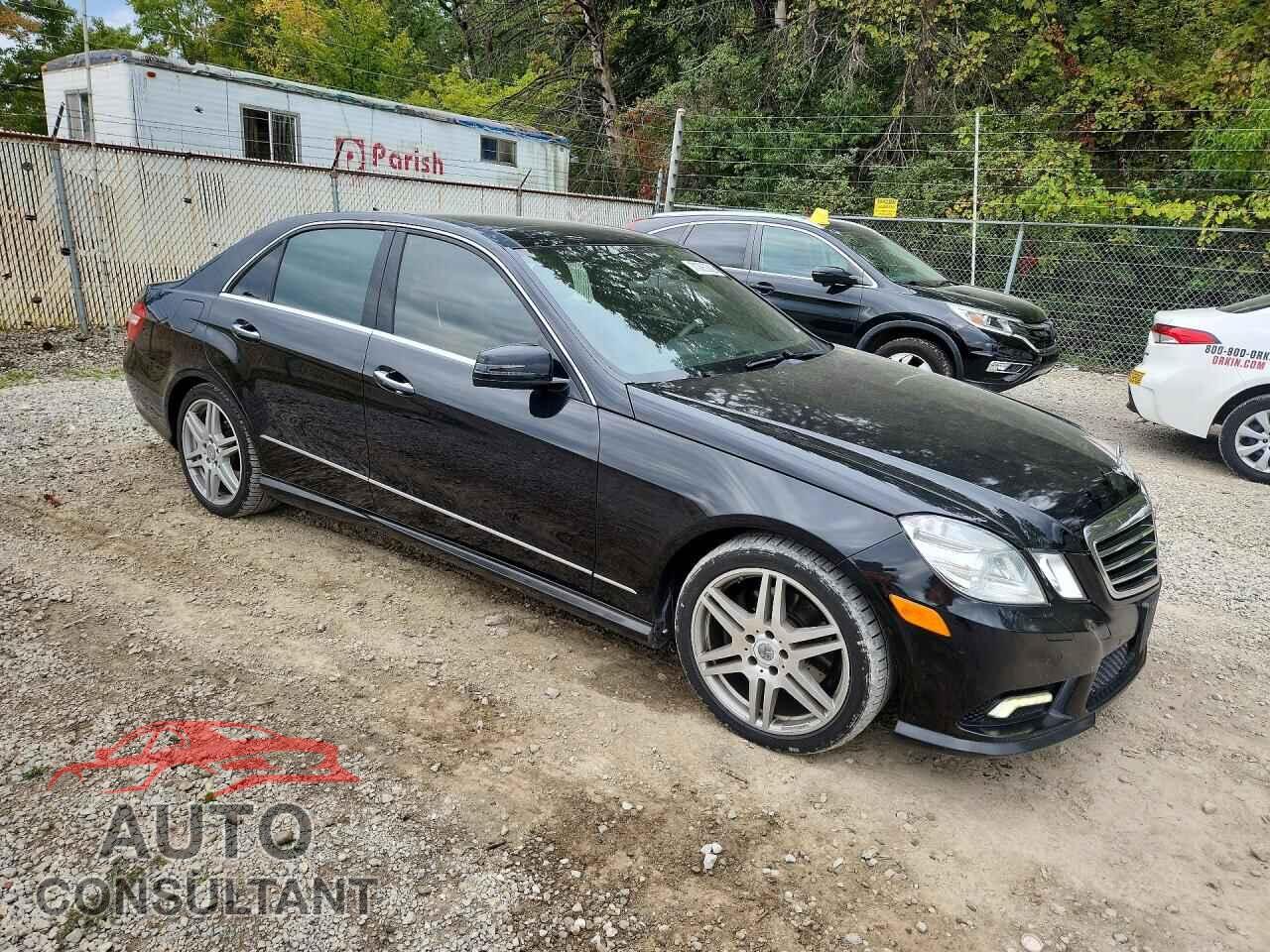 MERCEDES-BENZ E-CLASS 2010 - WDDHF8HB0AA217099