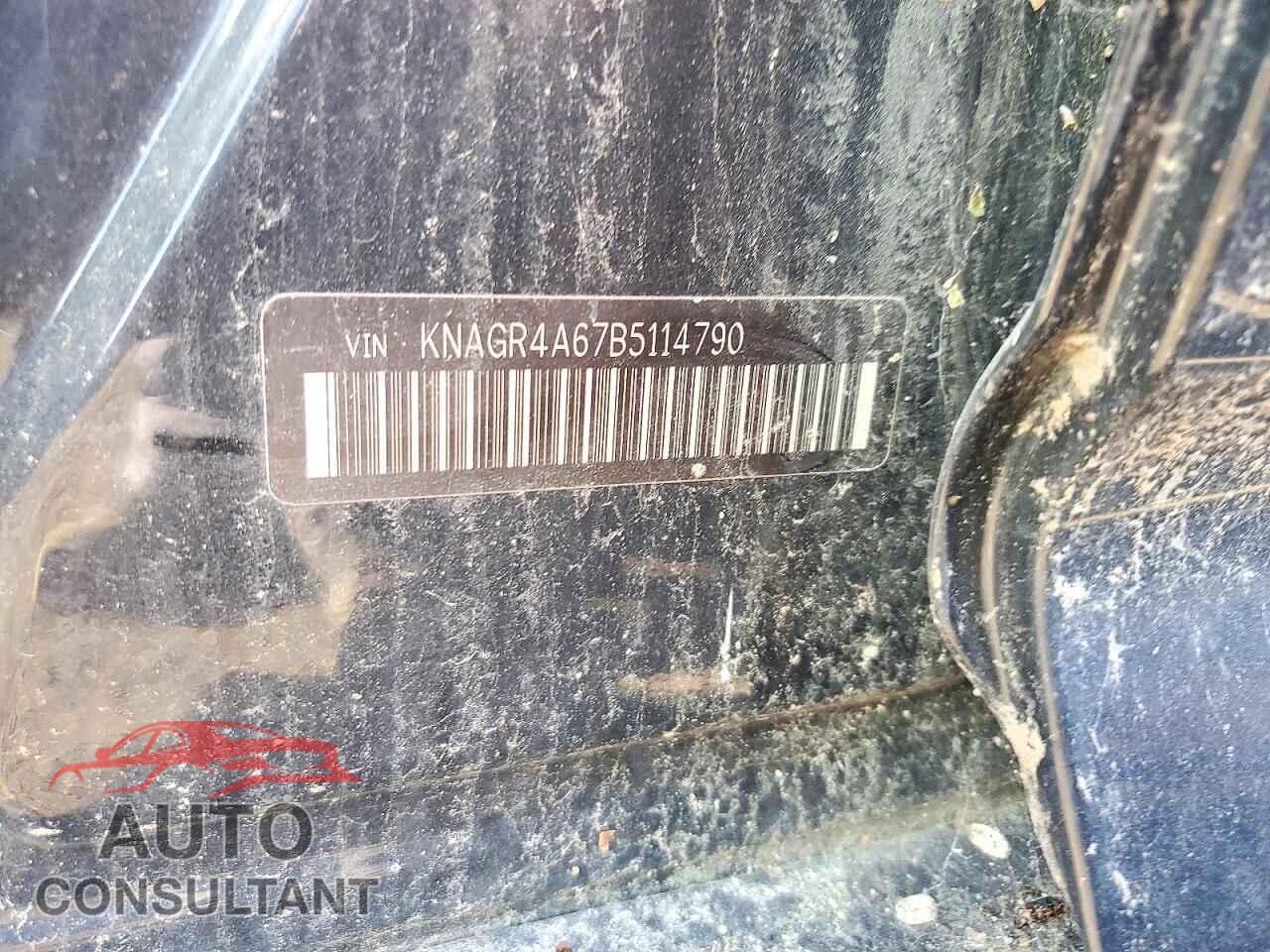 KIA OPTIMA 2011 - KNAGR4A67B5114790
