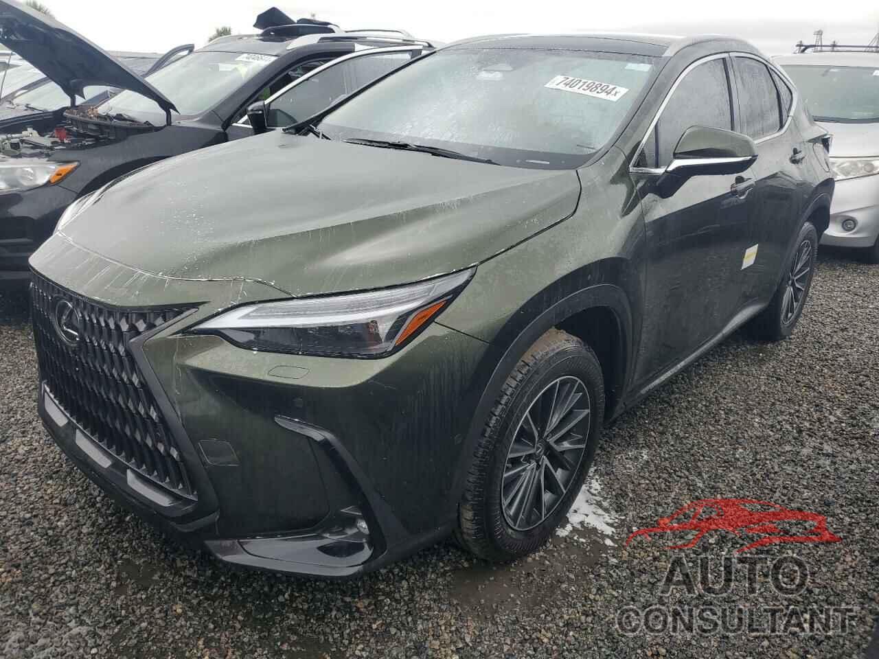 LEXUS NX 350H BA 2024 - JTJHKCEZ4R2026511