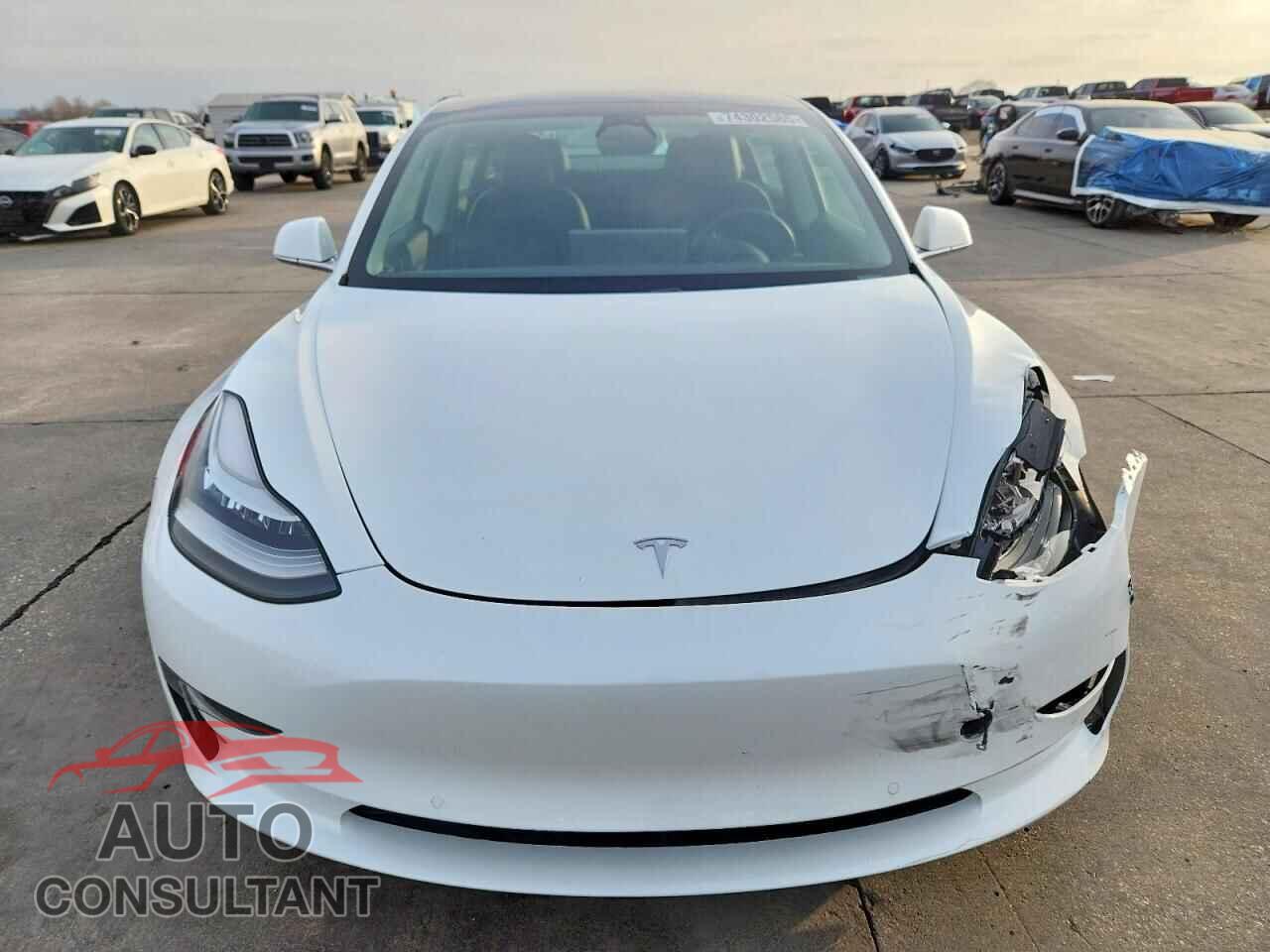 TESLA MODEL 3 2020 - 5YJ3E1EA7LF707219