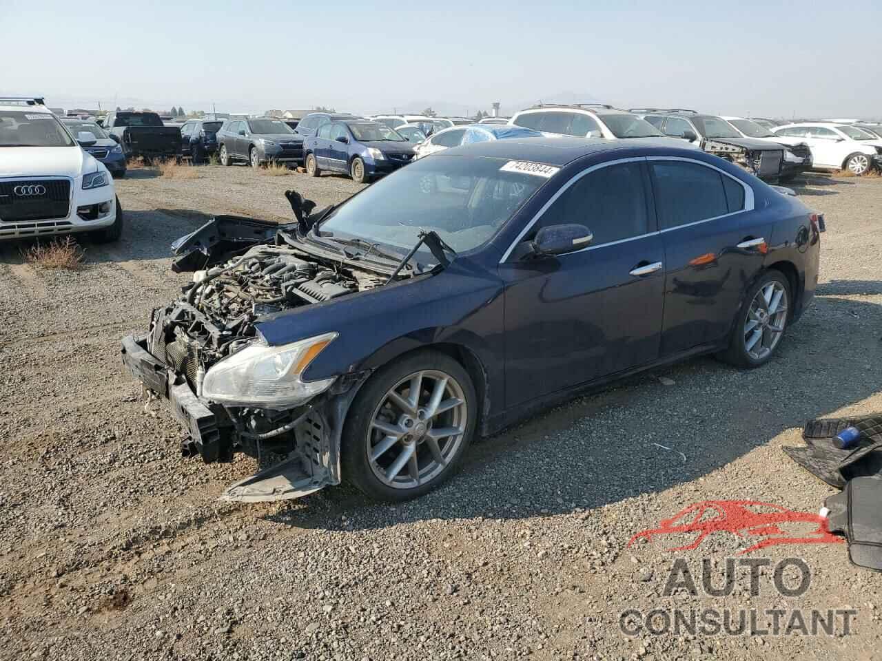NISSAN MAXIMA 2011 - 1N4AA5AP4BC847685