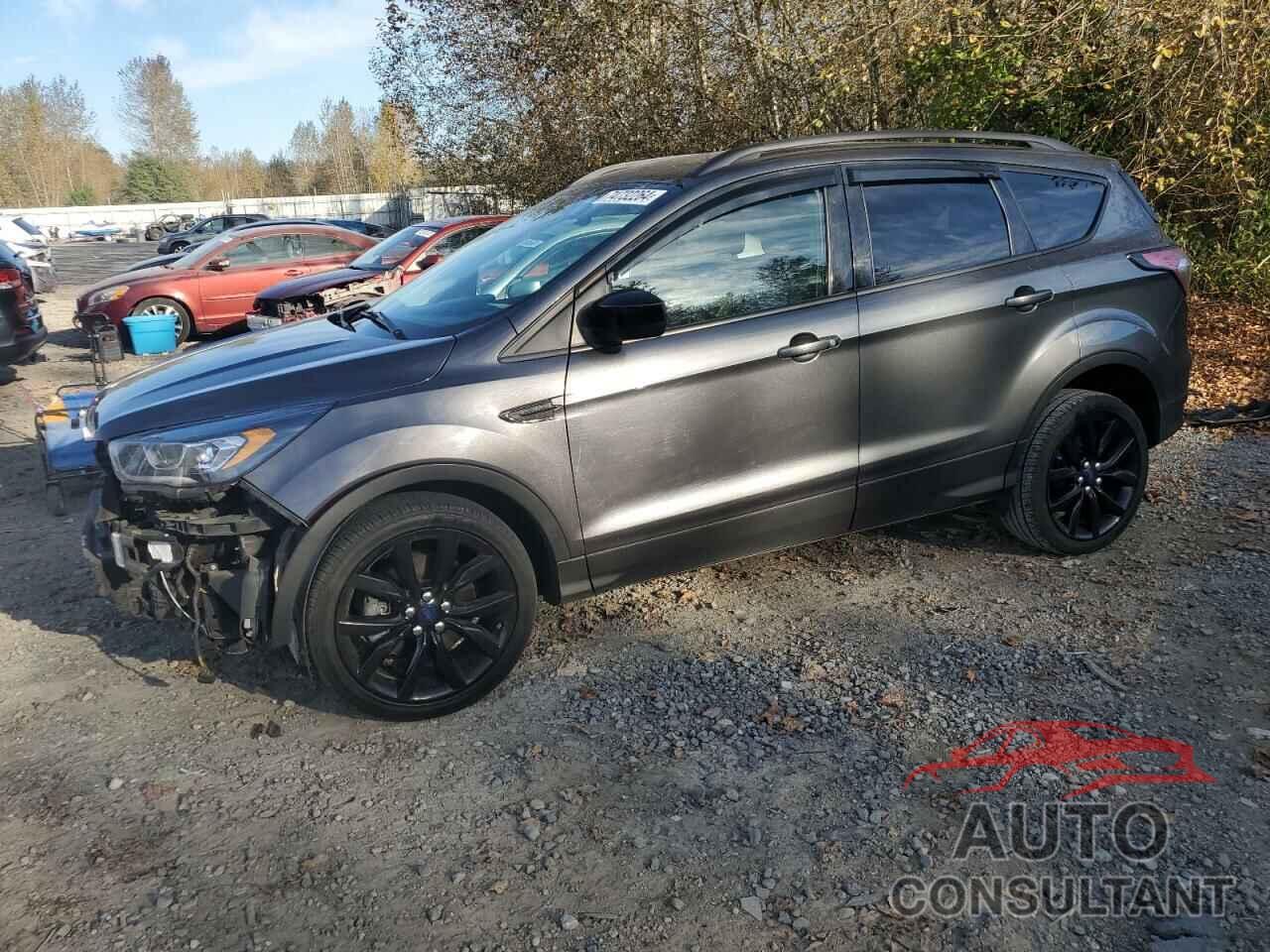 FORD ESCAPE 2017 - 1FMCU0G96HUA15219