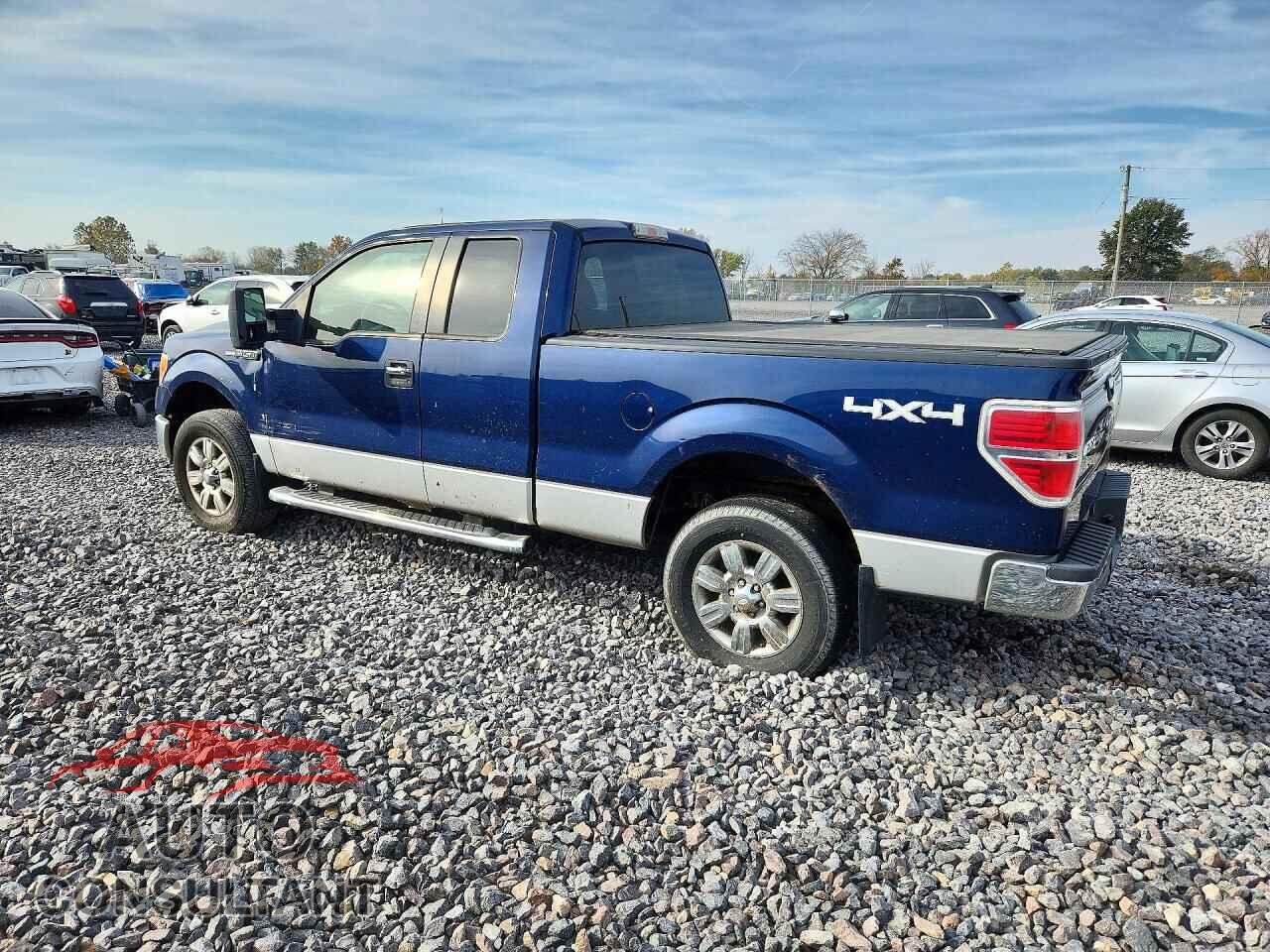 FORD F150 2011 - 1FTFX1ET9BFC11308