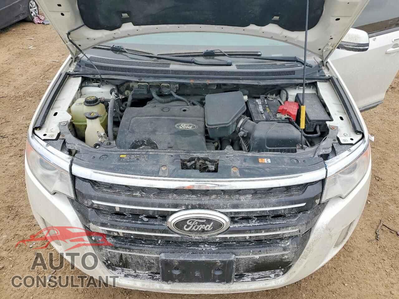 FORD EDGE 2014 - 2FMDK4JC8EBA89989