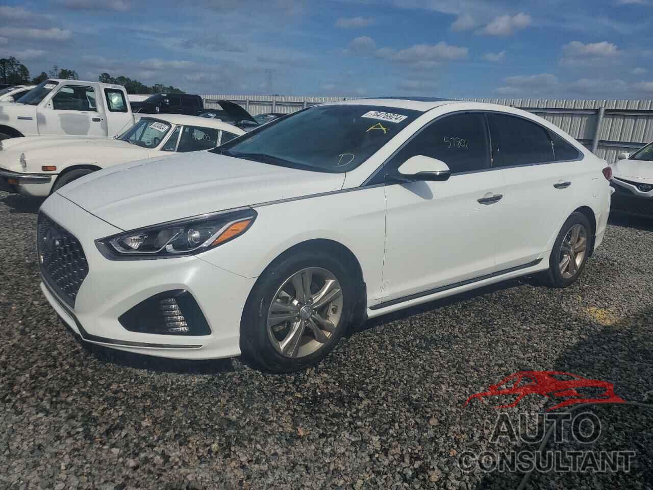 HYUNDAI SONATA 2019 - 5NPE34AF1KH801520