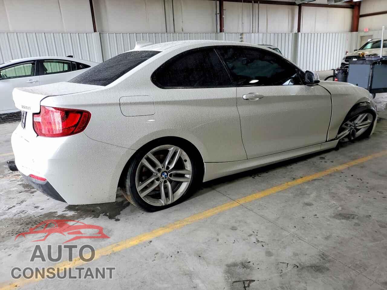 BMW 2 SERIES 2016 - WBA1F9C53GV742708