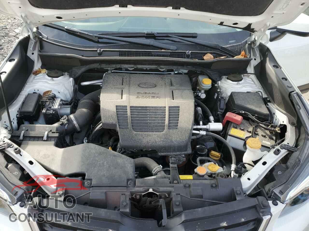 SUBARU FORESTER 2019 - JF2SKAGC9KH569170