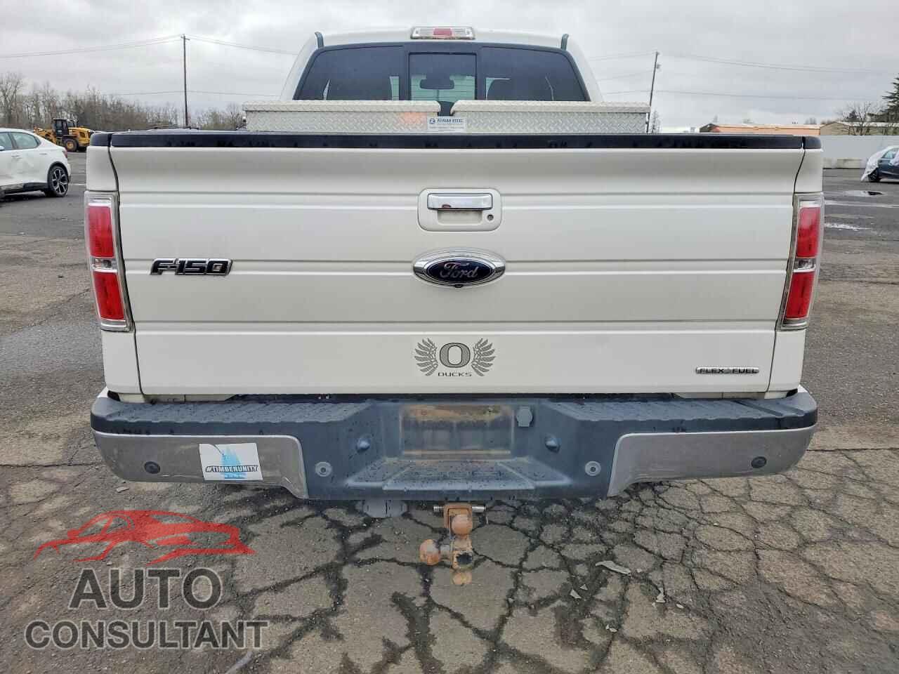 FORD F-150 2013 - 1FTFX1EF6DFA93134