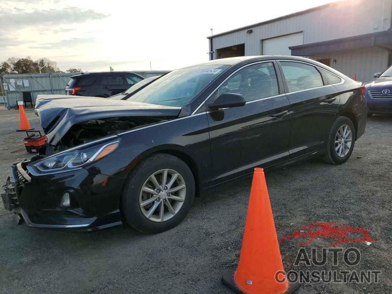 HYUNDAI SONATA 2019 - 5NPE24AF5KH784871