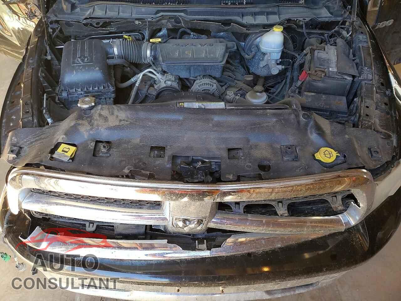 DODGE All Models 2011 - 1D7RV1GP8BS588759