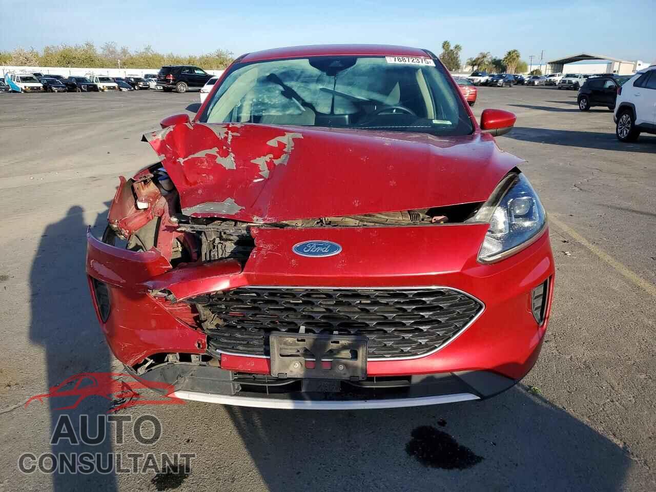 FORD ESCAPE 2020 - 1FMCU0G62LUA35580