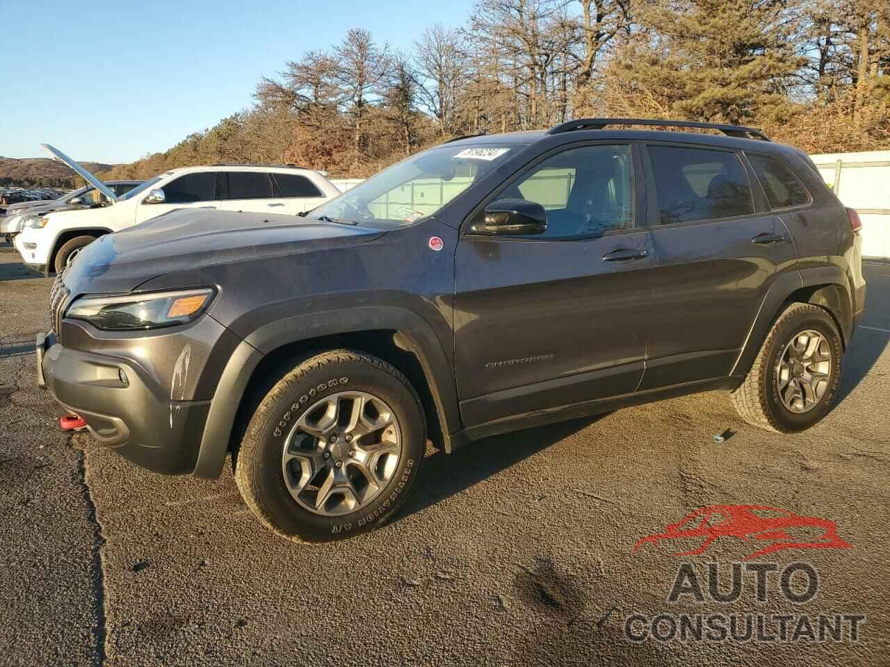 JEEP CHEROKEE 2022 - 1C4PJMBX4ND523762