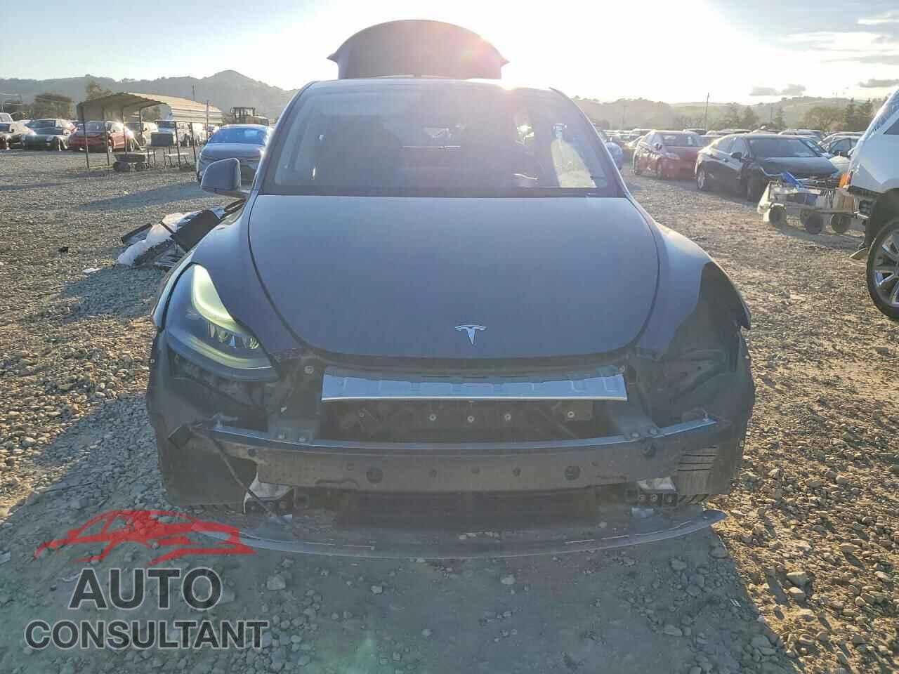 TESLA MODEL Y 2022 - 7SAYGAEE2NF553480