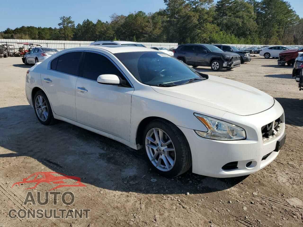 NISSAN MAXIMA 2009 - 1N4AA51E79C834891