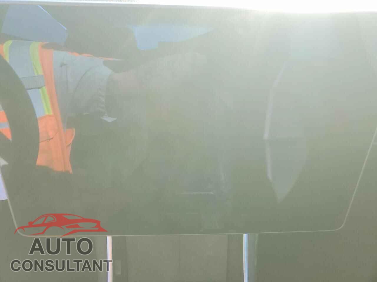 TESLA MODEL 3 2019 - 5YJ3E1EA2KF402094