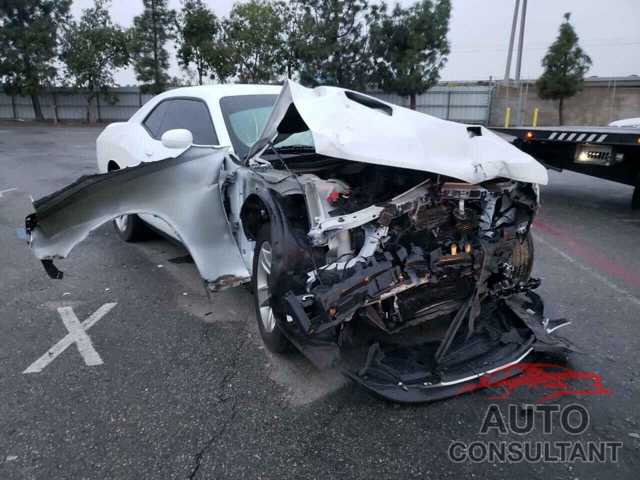 DODGE CHALLENGER 2019 - 2C3CDZAG4KH583757