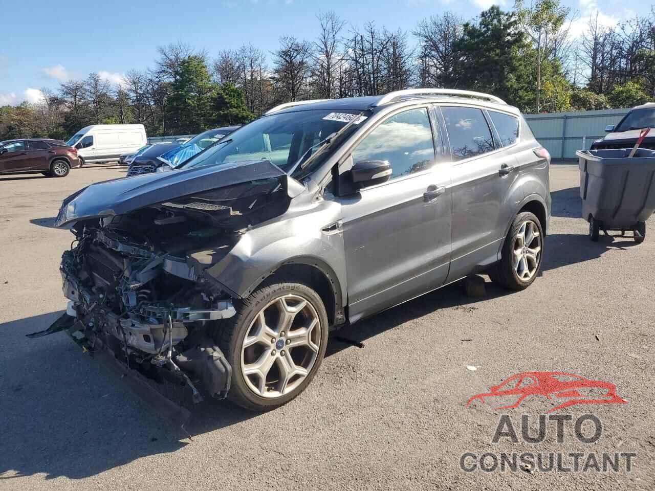 FORD ESCAPE 2017 - 1FMCU0JD4HUA30900